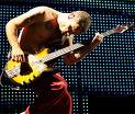 Flea red hot chilli peppers
